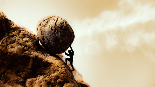 Determination
